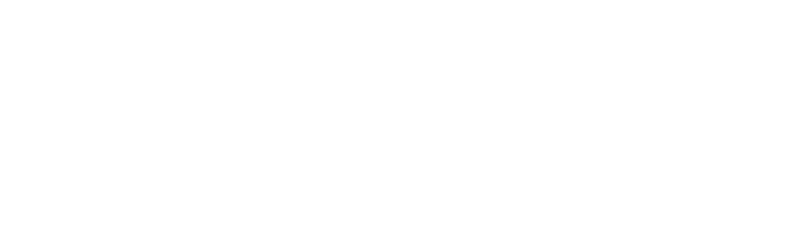 TCM-Next-Day-Delivery-logo-wht