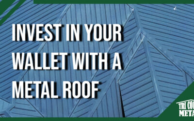 Invest in Your Wallet with a Metal Roof